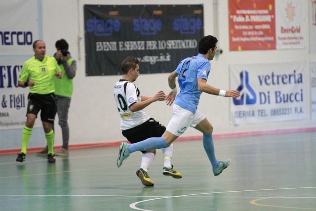 借鉴的成功 借鉴的成功