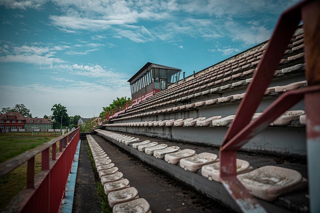 需的技能 需的技能