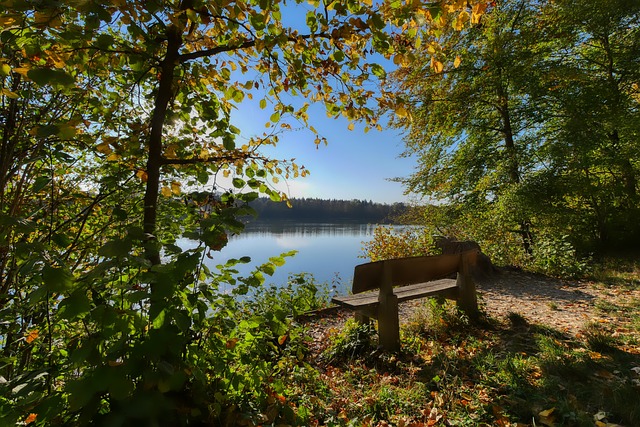 赛程与景观 赛程与景观