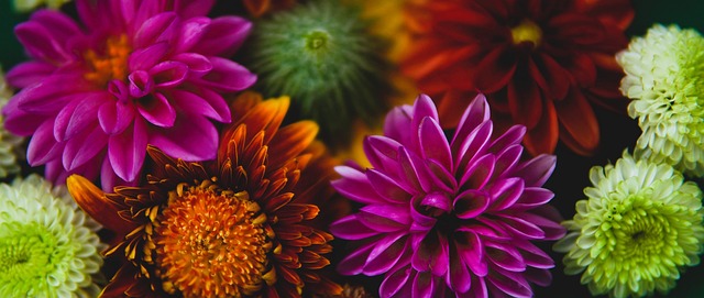 在刚刚结束 在刚刚结束