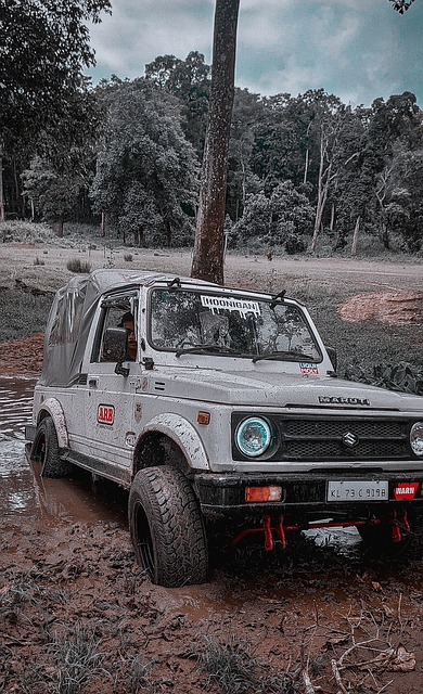 如船舶由传 如船舶由传