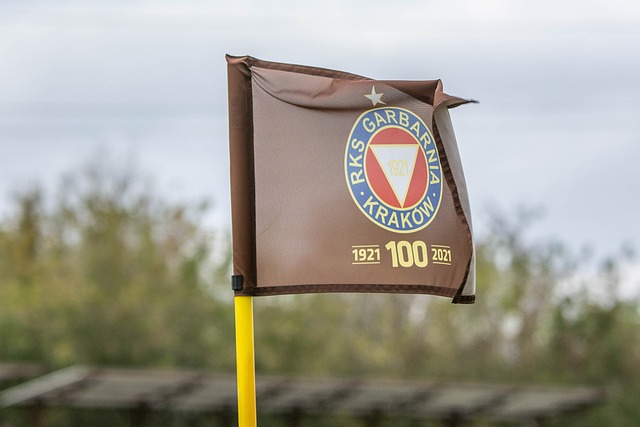 这位明星球 这位明星球