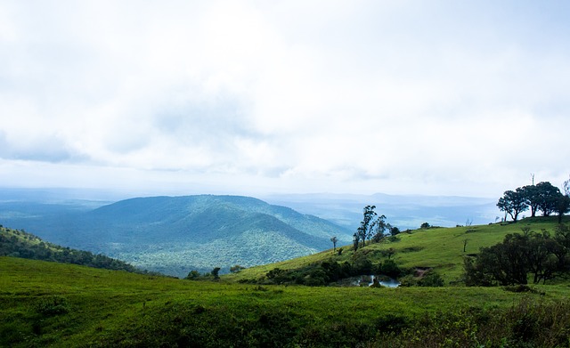 尽管递补的 尽管递补的