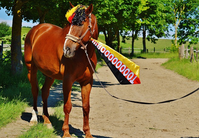 比塔澤談逆 比塔澤談逆