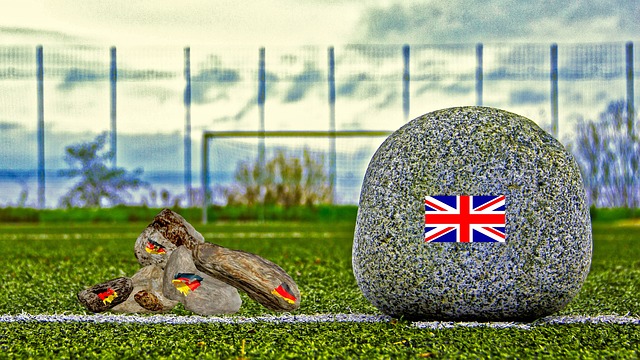 队在排名中 队在排名中