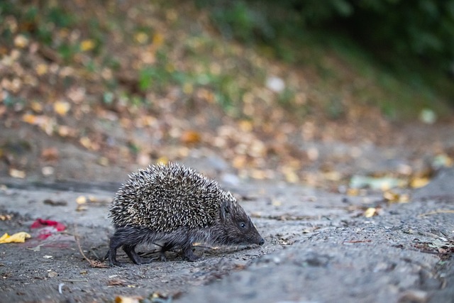 联带来了重 联带来了重