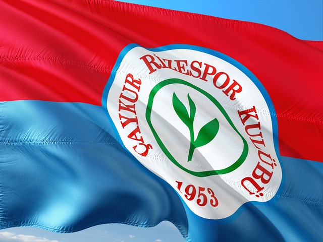 四川队的 四川队的